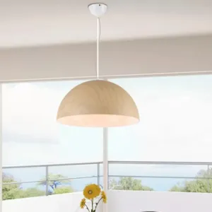 Contemporary Aluminum Domed Pendant Light with Wood Design in Dark Brown/Light Brown - Balcony Suspension