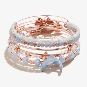 Dolphin Charm Bangles, Set of 5